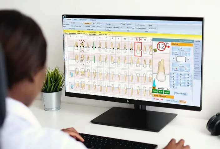 Voice-Activated Charting Feature